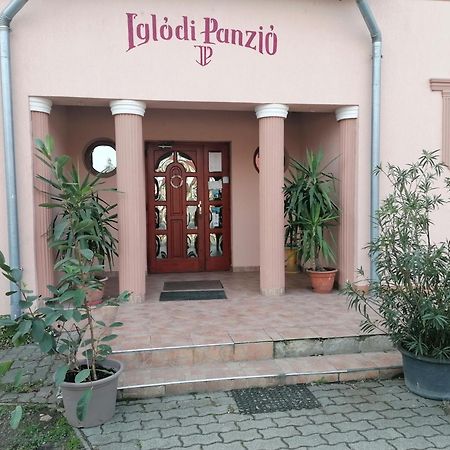 Iglodi Panzio Hotel Kunszentmarton Bagian luar foto