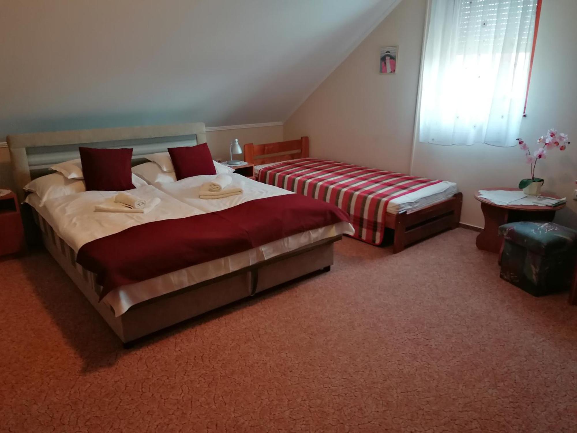 Iglodi Panzio Hotel Kunszentmarton Bagian luar foto
